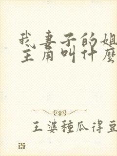 我妻子的姐姐女主角叫什么