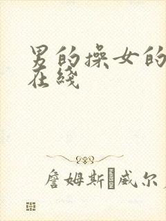 男的操女的视频在线