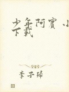 少年阿宾 小说下载