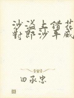 沙溢上错花轿嫁对郎沙平威封面