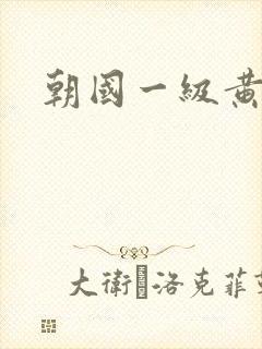 朝国一级黄色片