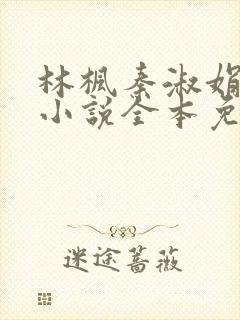 林枫秦淑娟穿越小说全本免费阅读