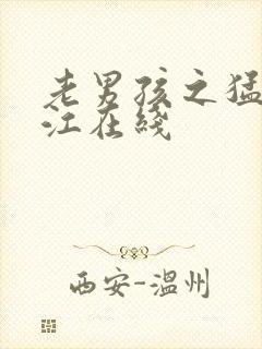 老男孩之猛龙过江在线