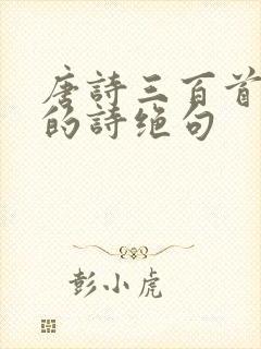 唐诗三百首杜甫的诗绝句封面