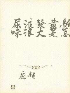 尿液发黄,骚臭味很大是怎么回事封面