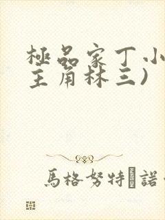 极品家丁小说(主角林三)