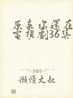 原来你还在这里电视剧36集免费