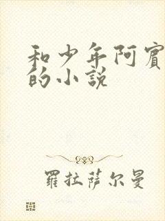 和少年阿宾一样的小说