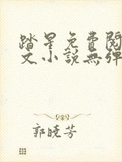 踏星免费阅读全文小说无弹窗