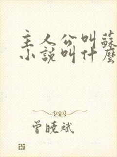 主人公叫苏柔的小说叫什么