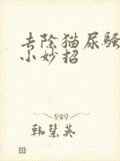 去除猫尿骚味的小妙招