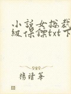 小说女总裁的神级保镖txt下载封面