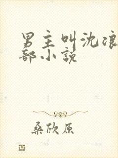 男主叫沈浪的全部小说封面