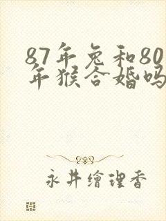 87年兔和80年猴合婚吗