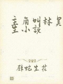 主角叫林昊的重生小说