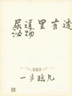 尿道里有透明分泌物