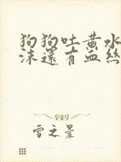 狗狗吐黄水带泡沫还有血丝