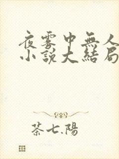 夜雾中无人爱我小说大结局封面