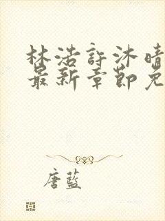 林浩许沐晴小说最新章节免费阅读全文