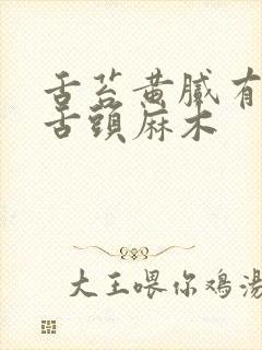 舌苔黄腻有齿痕舌头麻木