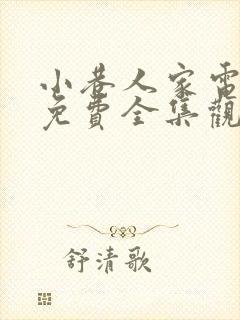 小巷人家电视剧免费全集观看