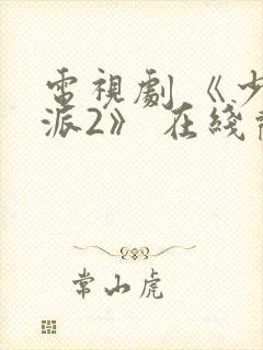 电视剧 《少年派2》 在线观看封面