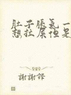 肚子胀气一直是想拉屎但是拉不出