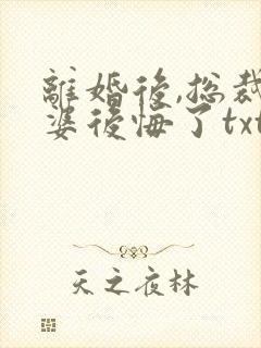 离婚后,总裁老婆后悔了txt下载全本