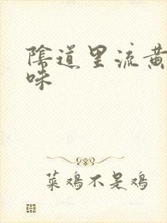 阴道里流黄水有味