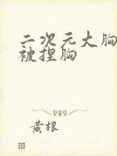 二次元大胸美女被捏胸封面