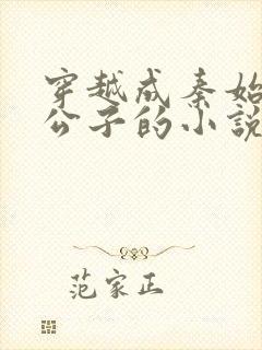 穿越成秦始皇二公子的小说