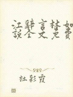 江辞言林如夏小说全文免费阅读