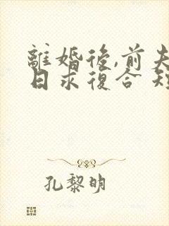 离婚后,前夫日日求复合 短剧