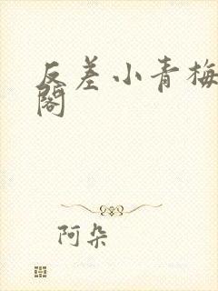 反差小青梅笔趣阁