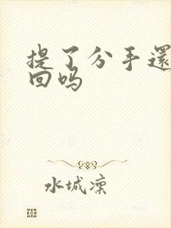 提了分手还能挽回吗