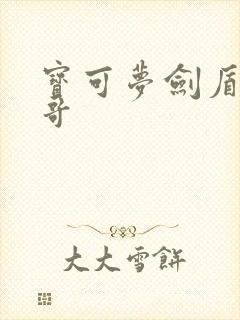 宝可梦剑盾河马哥