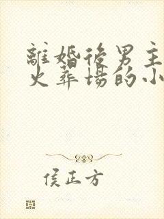 离婚后男主追妻火葬场的小说封面