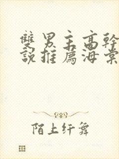 双男主高干文小说推荐海棠