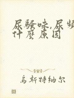 尿骚味,尿频是什么原因