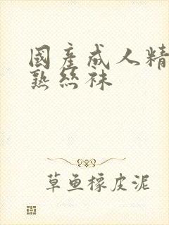 国产成人精品成熟丝袜