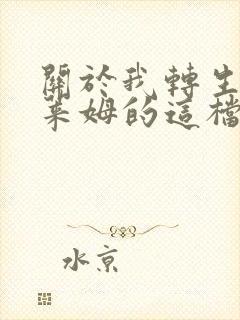 关于我转生成史莱姆的这档事