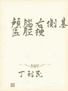 颅脑右侧基底节区腔梗