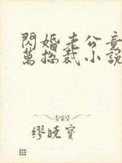 闪婚老公竟是亿万总裁小说