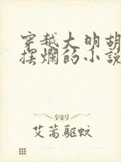 穿越大明胡惟庸摆烂的小说封面