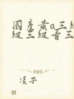 国产黄a三级三级三级看三级网站