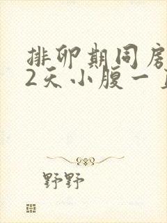 排卵期同房后12天小腹一直隐隐作痛封面