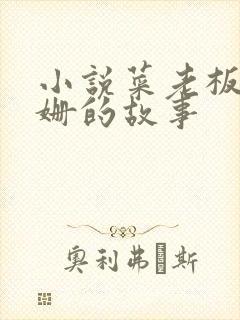 小说菜老板和芷姗的故事