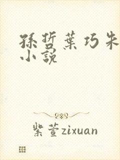 孙哲叶巧朱颜的小说