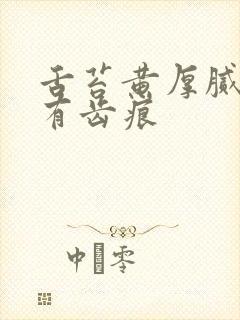 舌苔黄厚腻舌边有齿痕