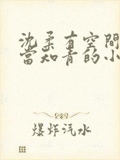 沈柔有空间下乡当知青的小说封面